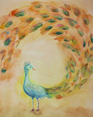 Tavuskuşu wiith spirali kuyruğu. Kenarlara yakın dokunmatik tekniği kağıdın değişmiş yüzey pürüzü nedeniyle yumuşak bir odak etkisi verir.