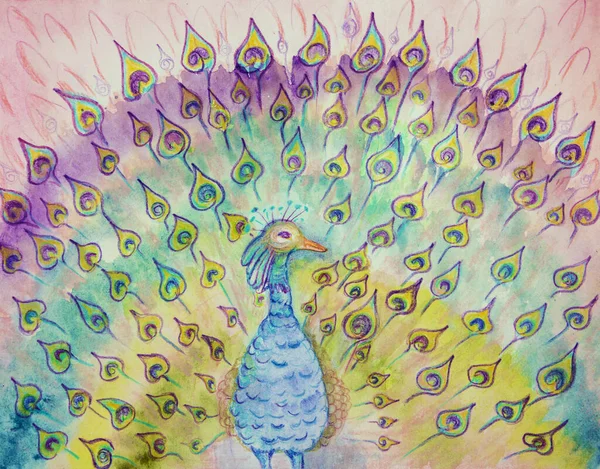 Blue Peacock Lot Whimsical Feathers Dabbing Technique Edges Gives Soft — Fotografia de Stock