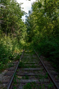 Ağaçlar, çalılar ve çimlerle kaplı terk edilmiş bir demiryolu hattı..