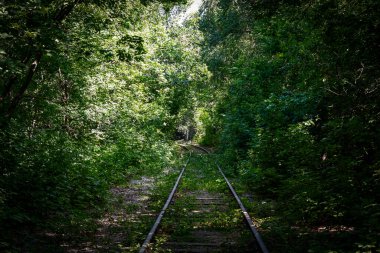 Ağaçlar, çalılar ve çimlerle kaplı terk edilmiş bir demiryolu hattı..