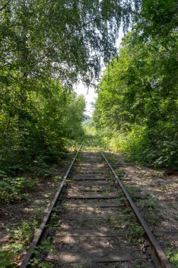 Ağaçlar, çalılar ve çimlerle kaplı terk edilmiş bir demiryolu hattı..