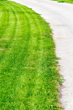 Özel bir evin arka bahçesinde güzel, dengeli bir çim..