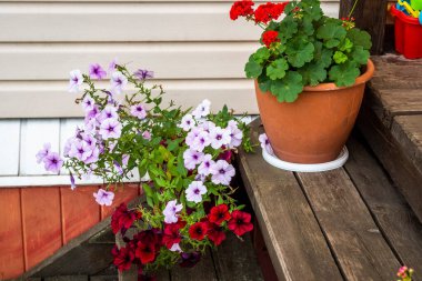 Özel bir evin verandasına saksı çiçekleri..
