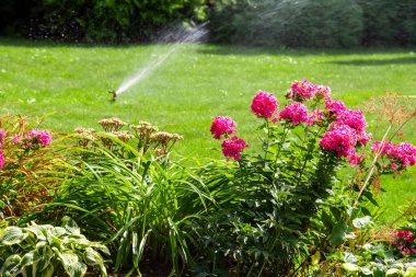 Özel bir evin arka bahçesinde güzel bir çiçek tarhı.