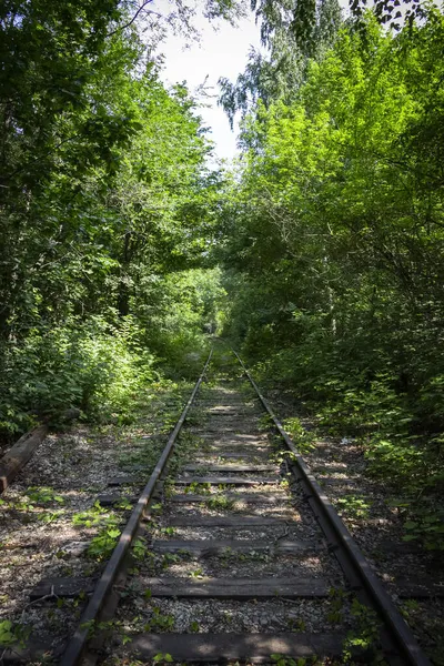一条荒废的铁路 长满了树木 灌木和青草 — 图库照片