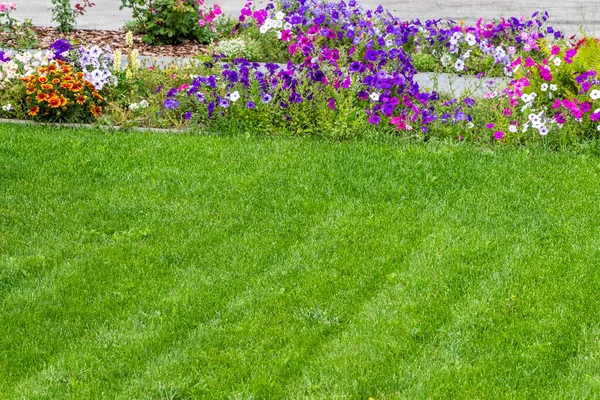 Schöner Gleichmäßig Beschnittener Rasen Hinterhof Eines Privathauses — Stockfoto