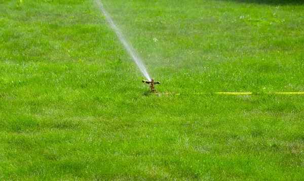 Wasserspritzer Beim Gießen Hintergrund Des Grünen Rasens — Stockfoto