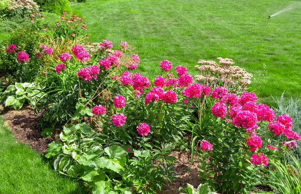 Beau Lit Fleurs Dans Cour Une Maison Privée — Photo