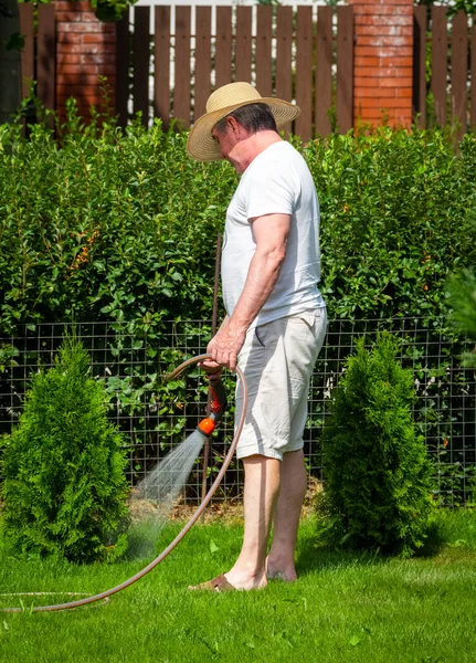 Een Man Tuinier Gebruikt Een Slang Tuinplanten Water Geven — Stockfoto