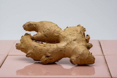 Pembe fayansta zencefil kökü