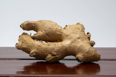 Kahverengi fayansta zencefil kökü