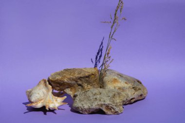 Kozmetik ürünleri ve doğal malzemelerden yapılmış ürünler için podyum yürüyüşü