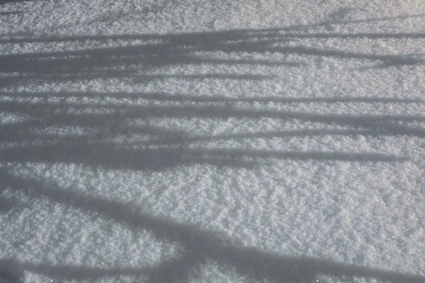 Fondo nevado con largas sombras de árboles. — Foto de Stock