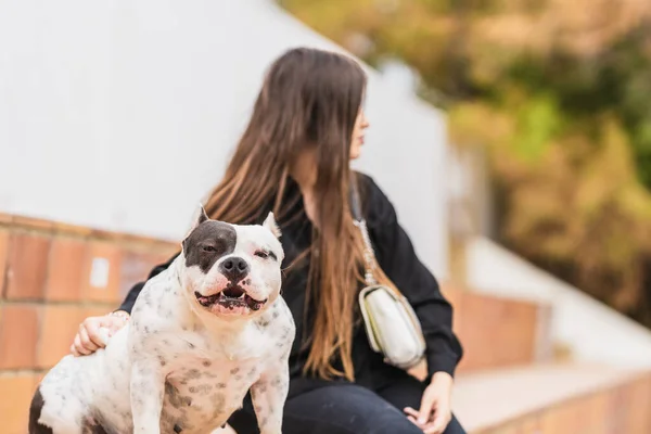Americano bullo cane seduto su una panchina accanto alla donna — Foto Stock
