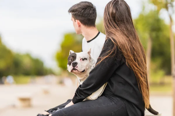 Cane voltandosi verso la fotocamera mentre seduto in mezzo a due persone all'aperto — Foto Stock