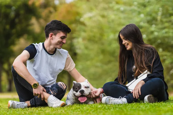 Två personer sitter i en park med en amerikansk mobbhund liggande i mitten. — Stockfoto