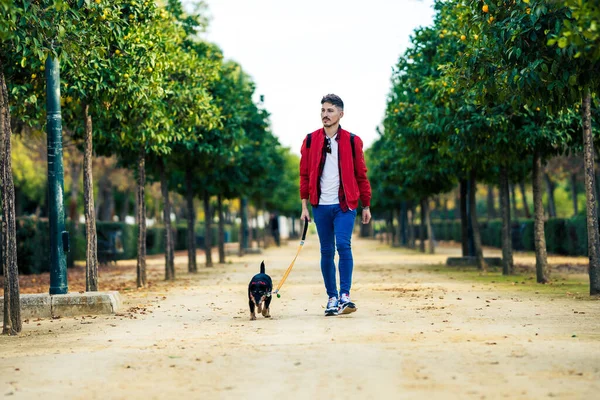 Młody człowiek spacerujący z małym psem rasy w miejskim parku — Zdjęcie stockowe