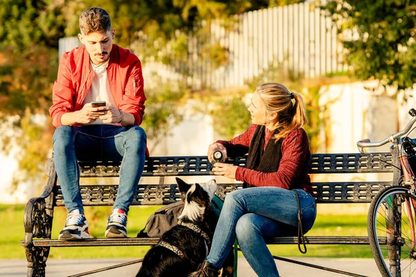 Друзі сидять на лавці з собакою, використовуючи мобільний і питний чай — стокове фото