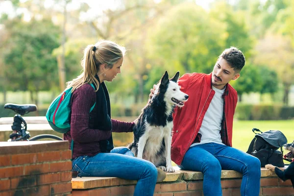 Två personer klappar en hund när de sitter i en parkvägg — Stockfoto