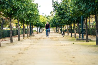 Parkta bisiklet süren bir kadının yanında koşan bir köpek.