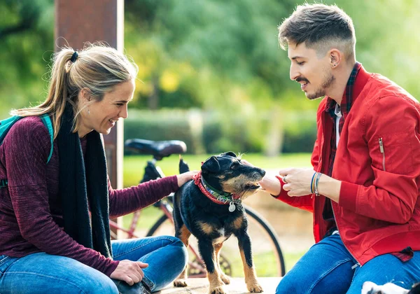 Two friends petting a small dog while sitting in a wall of a park — Foto Stock