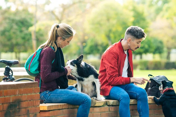 Dois amigos dando guloseimas para dois cães enquanto sentados em um parque — Fotografia de Stock