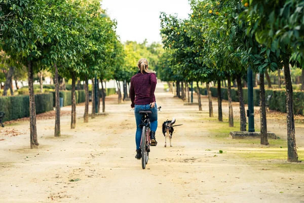 Parkta köpeği gezdirirken bisiklet süren bir kadın.