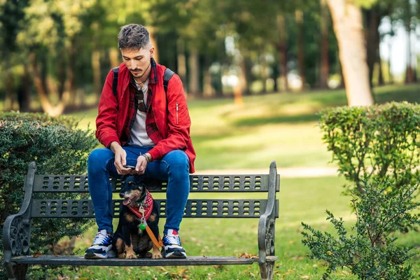 Hund och man sitter på en bänk i en park medan du använder en mobil — Stockfoto