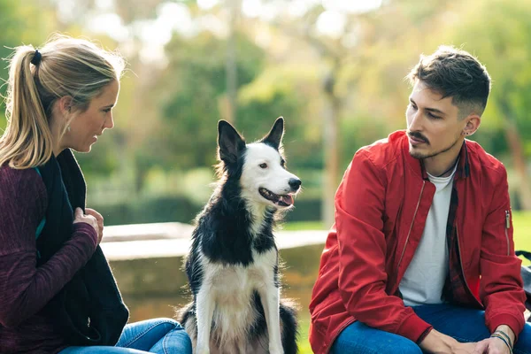 Hund med uppmärksamhet uttryck sitter mellan en vän i en park — Stockfoto