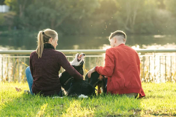 Duas pessoas sentadas em um parque enquanto brincavam com cães durante o pôr do sol — Fotografia de Stock