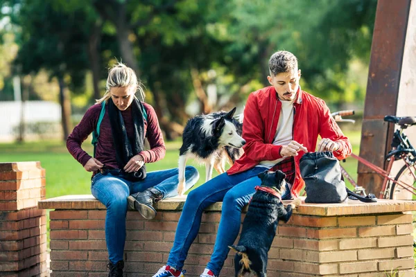 Dois amigos sentados em uma parede de tijolo de um parque com seus cães — Fotografia de Stock