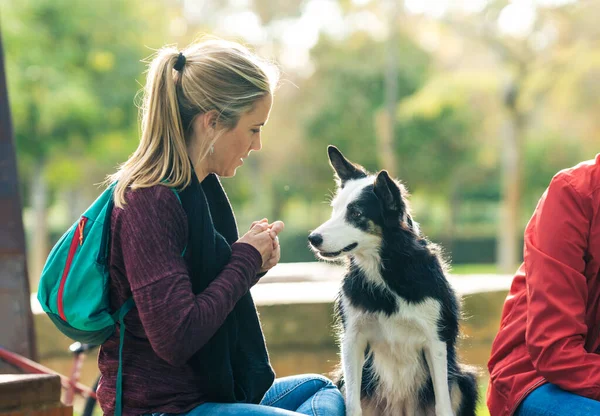 Woman sitting in a park giving an edible treat to a dog — Foto Stock