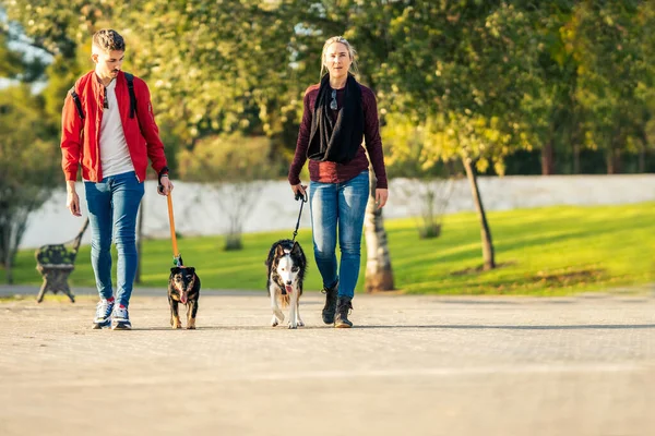 Photo with copy space of a couple walking dogs — Stockfoto