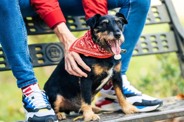 Cão com um lenço vermelho no pescoço sentado ao lado de seu proprietário em um banco de parque — Fotografia de Stock