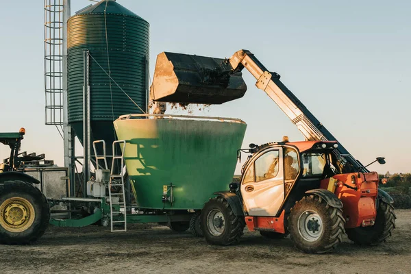Sebuah traktor memberi makan sapi dengan sekopnya — Stok Foto