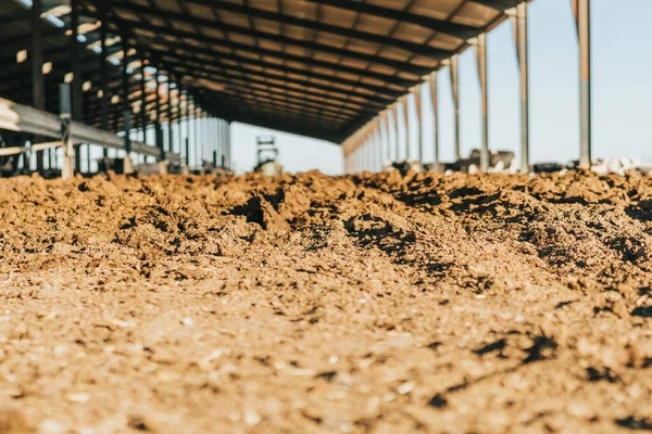 Close-up of the land of a livestock farm at dawn — Stock Photo, Image