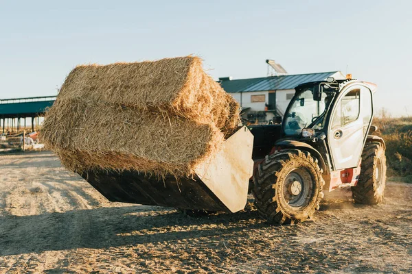 Sebuah traktor mengangkut setumpuk jerami di atas sekopnya — Stok Foto