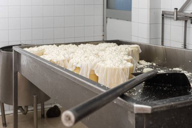 Metal bir konteynırda birkaç büyük kaymak küfü var.