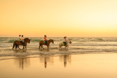 6 riders dressed in equestrian clothing trot at sunset in the sea on their horses. Equestrian