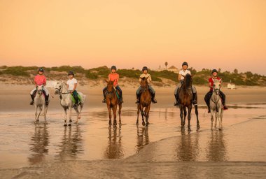 6 horses with their young riders lined up on the seashore watching the sunset. Horse