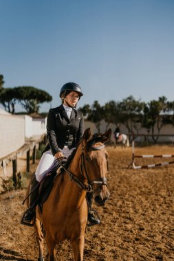 17 year old jogging brown horse with equestrian equipment at riding school. Horseback riding school