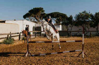 young boy jumps with his horse over some obstacles at a riding school. Horseback riding school