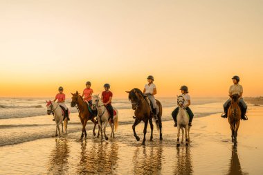 group of students of an equestrian school walking with their horses along the seashore. Sunset