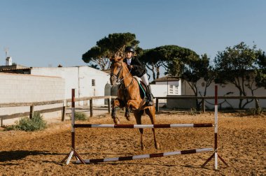teenager on a brown horse jumps over obstacles at a riding school. Equestrian