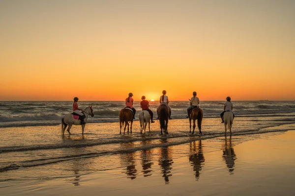 6 young riders mounted on their horses watching the sunset with the horses treading water. Sunset
