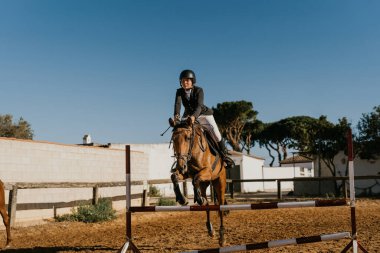 young woman in equestrian equipment jumps over an obstacle with her horse at an exhibition. Horse