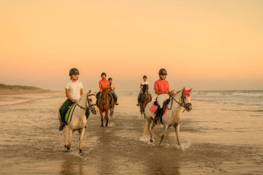 several pupils of a horse school riding their horses along the seashore.