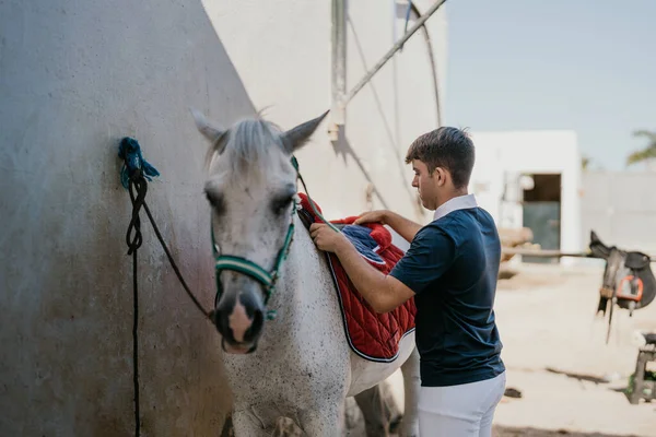 15-year-old young man putting red blanket on a white horse. Horseback riding