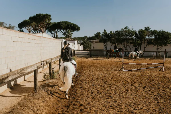 girl jogging a white horse around an equestrian arena. Equestrian