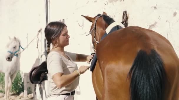 Vídeo Uma Mulher Anos Traz Cavalo Volta Imagens Alta Qualidade — Vídeo de Stock